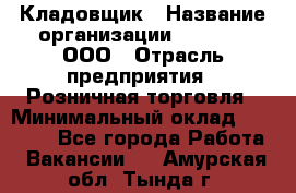 Кладовщик › Название организации ­ O’stin, ООО › Отрасль предприятия ­ Розничная торговля › Минимальный оклад ­ 17 200 - Все города Работа » Вакансии   . Амурская обл.,Тында г.